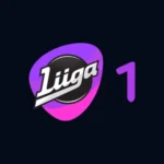 IPTV Kanavat Suomi – Parhaat IPTV Kanavat Finland 2025 1 Liiga 1 -jääkiekko-ottelut katsottavissa IPTV-palvelun kautta